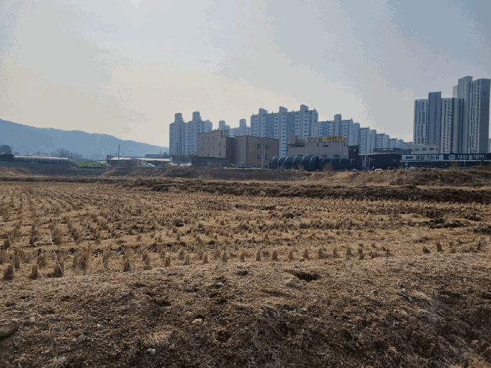 경기 양주시 삼숭동 답 경매 물건 사진 6 · 2026타경70467