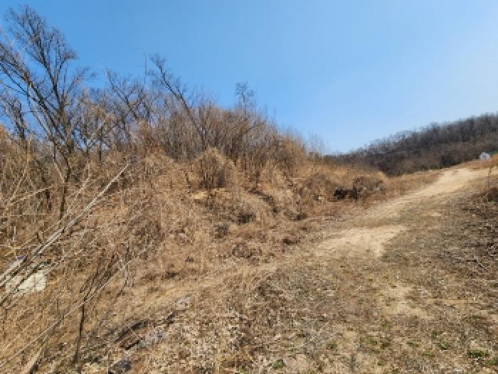 경기 양주시 봉양동 임야 경매 물건 사진 5 · 2026타경70500