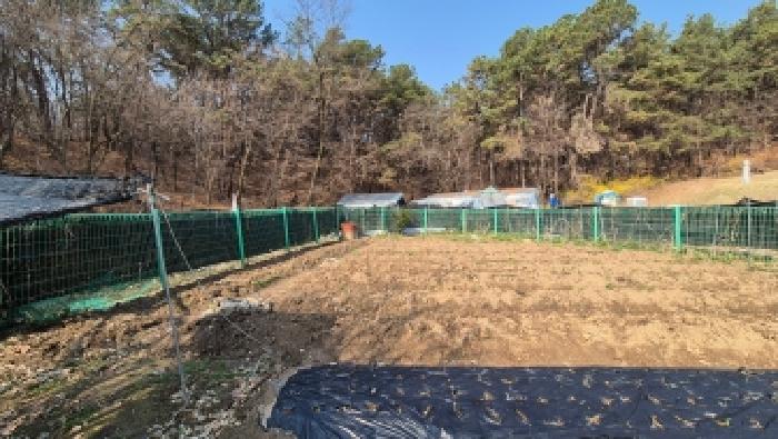 경기 양주시 마전동 전답 경매 물건 사진 5 · 2026타경70570