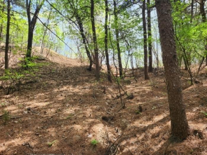 경기 양주시 은현면 임야 경매 물건 사진 4 · 2026타경70708