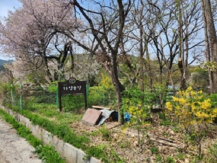 경기 양주시 어둔동 전답 경매 물건 사진