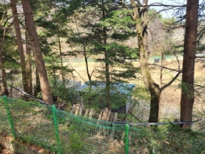 경기 양주시 어둔동 전답 경매 물건 사진 4 · 2026타경70710