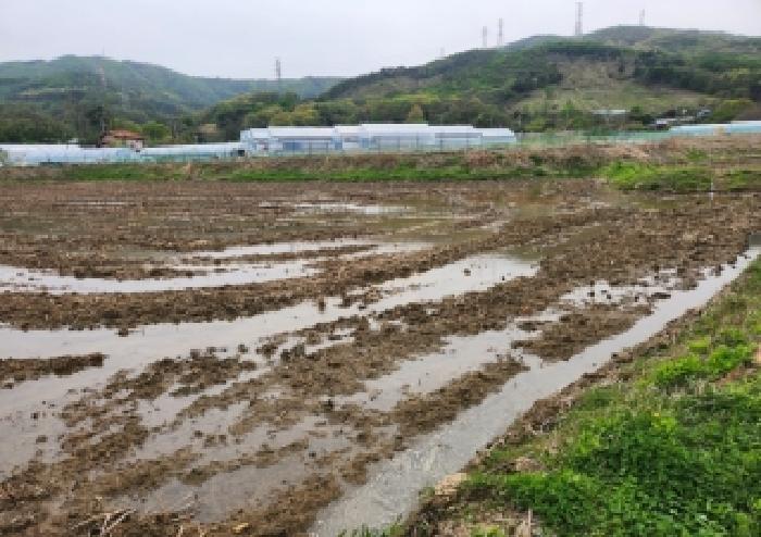 경기 양주시 어둔동 전답 경매 물건 사진