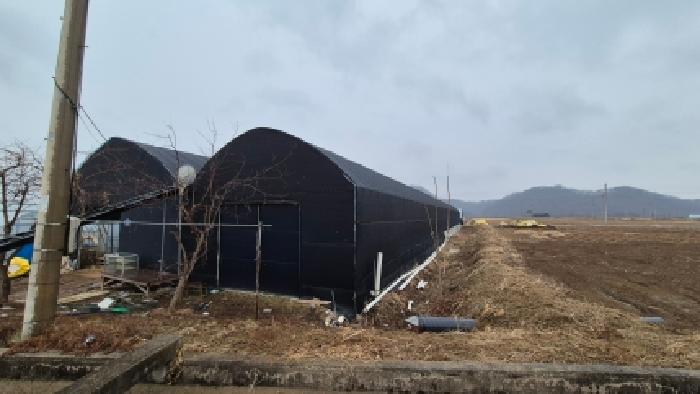 경기 연천군 군남면 답 경매 물건 사진 3 · 2026타경71
