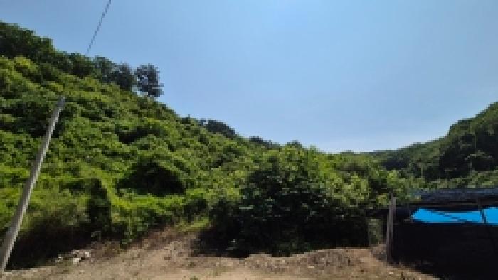 경기 연천군 신서면 임야 경매 물건 사진 4 · 2026타경71146