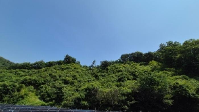 경기 연천군 신서면 임야 경매 물건 사진 2 · 2026타경71146