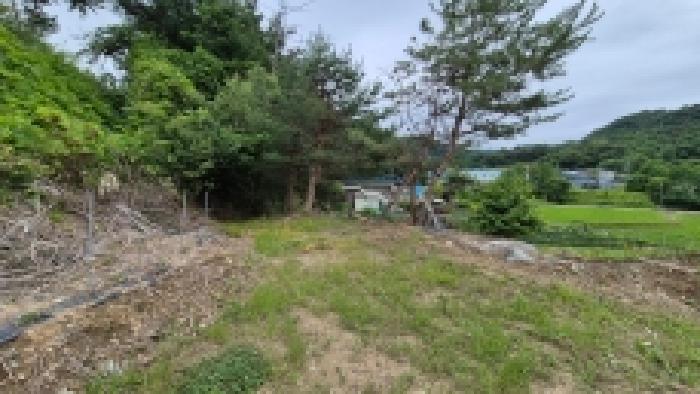 경기 포천시 군내면 임야 경매 물건 사진 5 · 2026타경71256