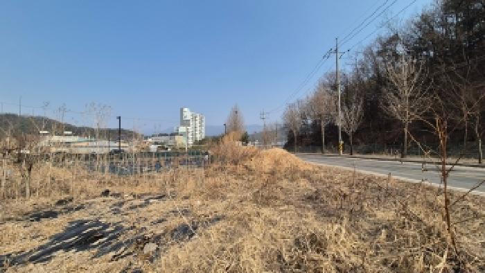 경기 포천시 일동면 전 경매 물건 사진 5 · 2026타경72