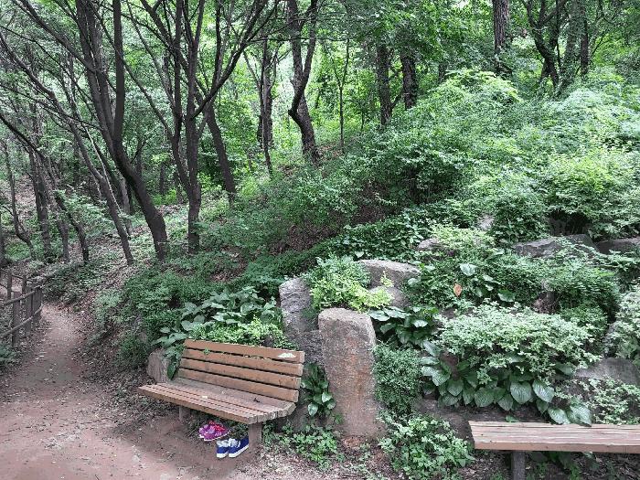 서울 은평구 응암동 임야 경매 물건 사진