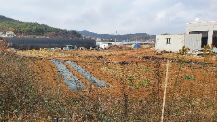 인천 옹진군 영흥면 근린생활시설 경매 물건 사진 5 · 2021타경526137