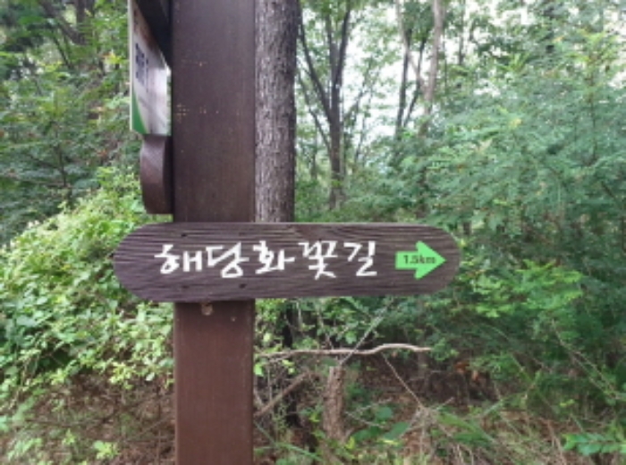 인천 옹진군 북도면 임야 경매 물건 사진 4 · 2023타경530659