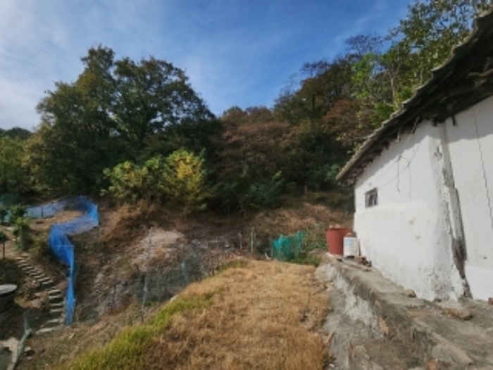 인천 중구 무의동 임야 경매 물건 사진 4 · 2024타경13946