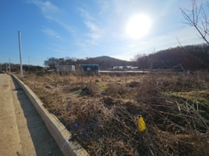 인천 계양구 둑실동 전답 경매 물건 사진 6 · 2024타경15706