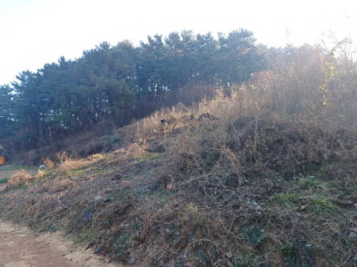 인천 옹진군 자월면 임야 경매 물건 사진 5 · 2024타경16198