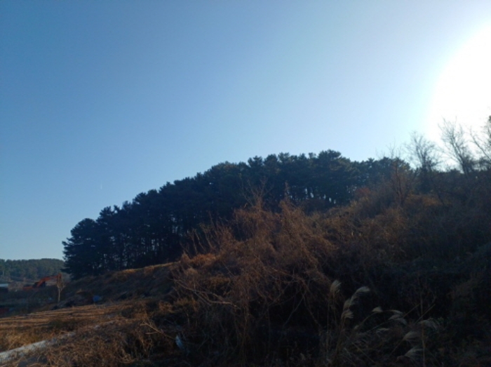 인천 옹진군 자월면 임야 경매 물건 사진 6 · 2024타경16198