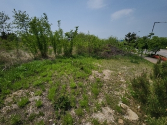 인천 중구 운남동 대지 경매 물건 사진 6 · 2024타경519208