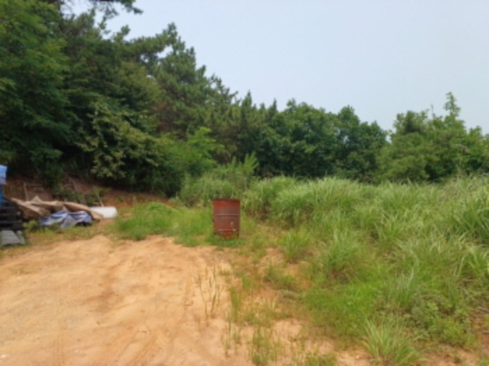 인천 옹진군 영흥면 임야 경매 물건 사진 3 · 2024타경540530