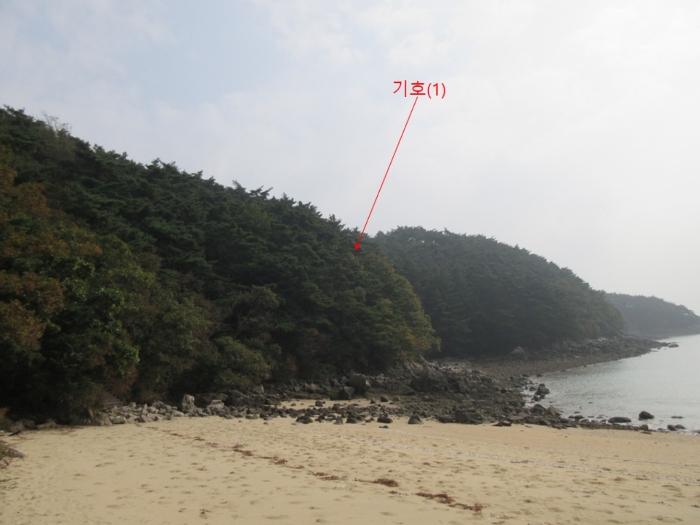 인천광역시 옹진군 덕적면 진리 산61 임야 경매 물건 사진