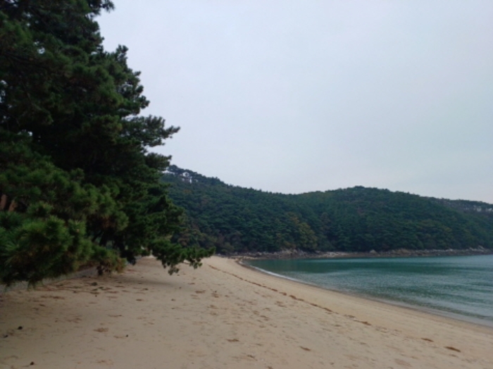 인천 옹진군 덕적면 임야 경매 물건 사진