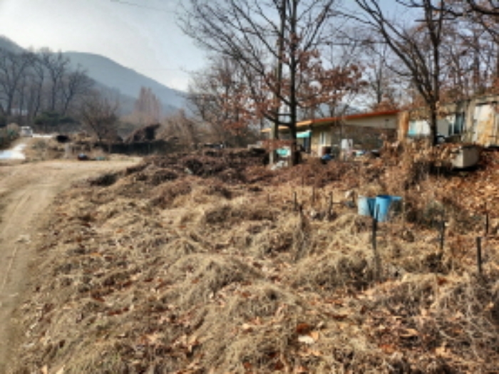 인천 강화군 삼산면 답 경매 물건 사진 5 · 2024타경578702