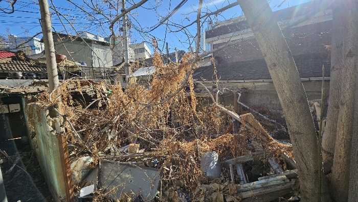 인천 중구 대지 경매 물건 사진 5 · 2024타경584943