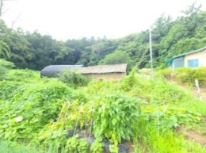 인천 계양구 목상동 다가구주택 경매 물건 사진 5 · 2024타경8326