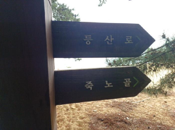 인천 옹진군 덕적면 답 경매 물건 사진 4 · 2025타경1110
