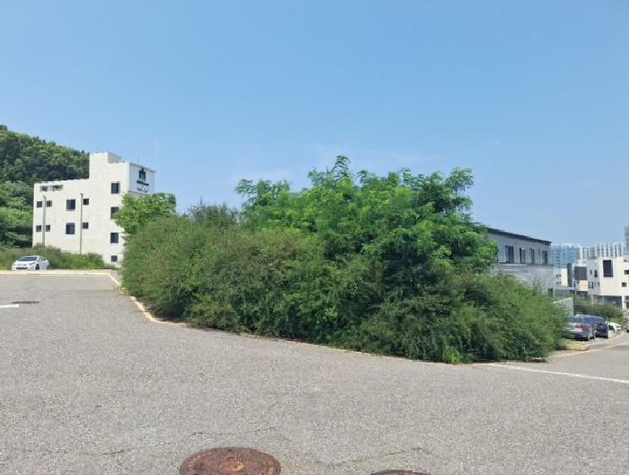 인천 중구 운서동 대지 경매 물건 사진