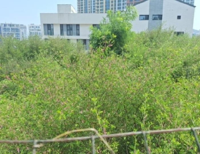 인천 중구 운서동 대지 경매 물건 사진 5 · 2025타경1282
