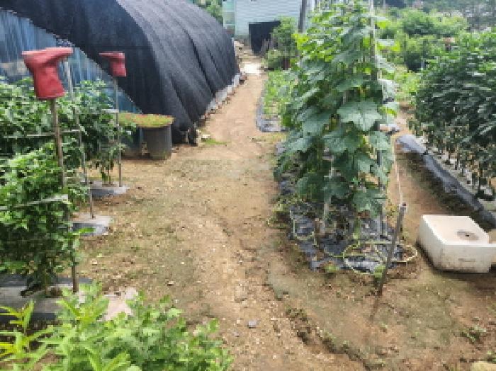 인천 강화군 길상면 대지 경매 물건 사진