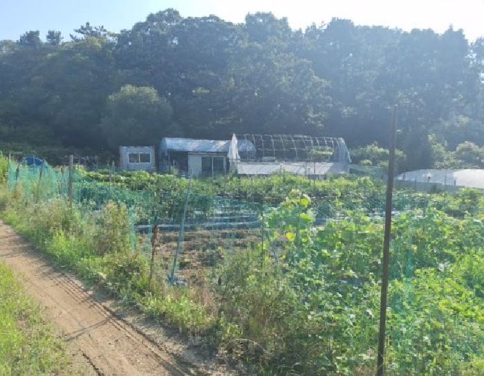 인천 중구 덕교동 전답 경매 물건 사진