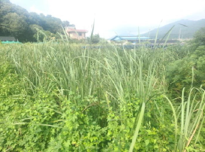 인천 강화군 하점면 답 경매 물건 사진