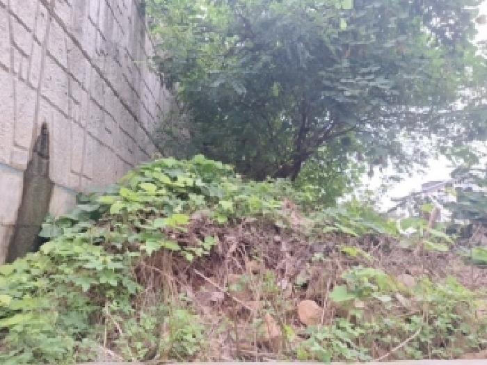 인천 중구 운남동 대지 경매 물건 사진 4 · 2025타경1560