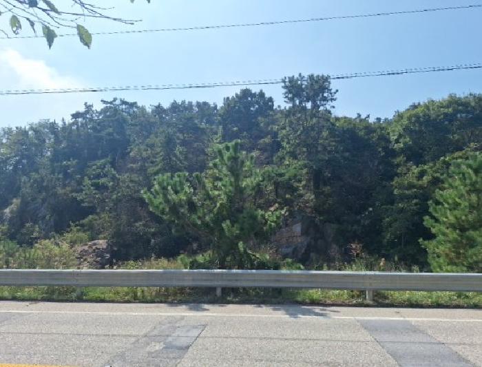 인천 중구 을왕동 임야 경매 물건 사진 6 · 2025타경1563