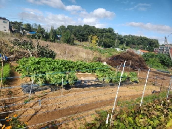 인천 서구 금곡동 전 경매 물건 사진
