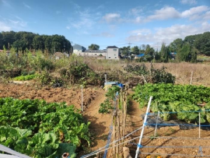 인천 서구 금곡동 전 경매 물건 사진 2 · 2025타경1659