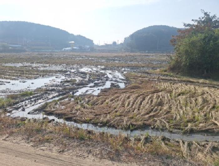 인천 중구 남북동 답 경매 물건 사진 3 · 2025타경1669