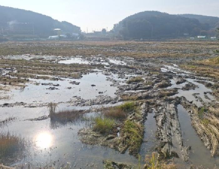 인천 중구 남북동 답 경매 물건 사진 4 · 2025타경1669