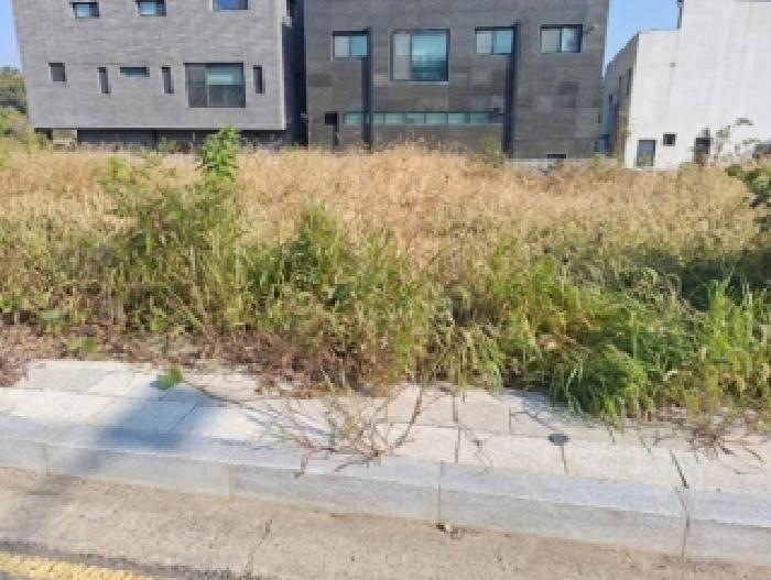 인천 중구 운북동 대지 경매 물건 사진 2 · 2025타경1703