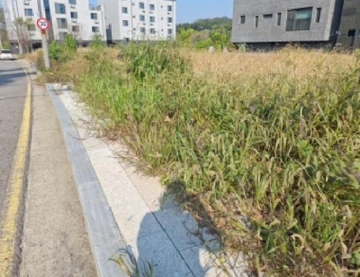 인천 중구 운북동 대지 경매 물건 사진 3 · 2025타경1703