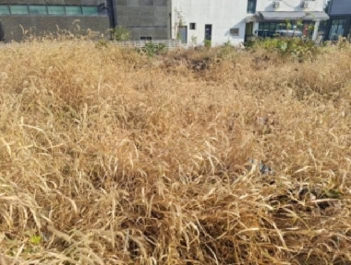 인천 중구 운북동 대지 경매 물건 사진 4 · 2025타경1703