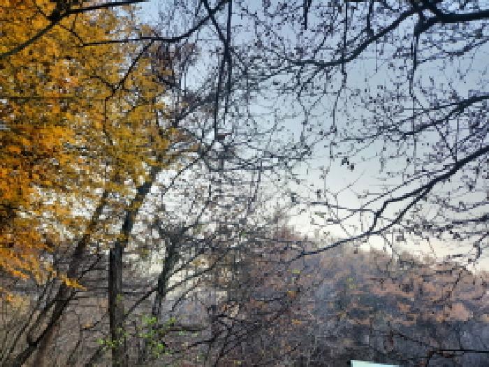 인천 강화군 불은면 임야 경매 물건 사진 3 · 2025타경1730