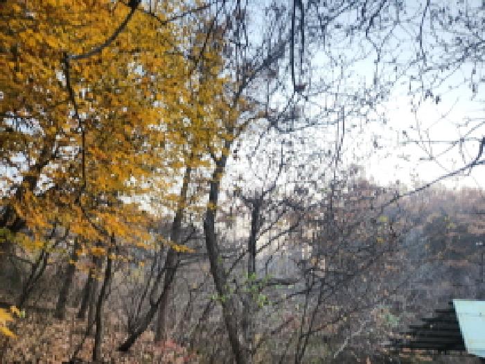 인천 강화군 불은면 임야 경매 물건 사진 4 · 2025타경1730
