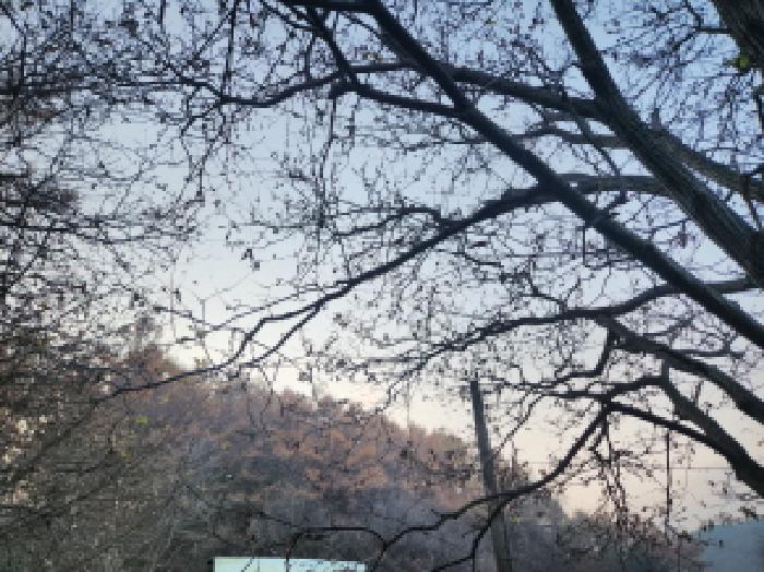 인천 강화군 불은면 임야 경매 물건 사진