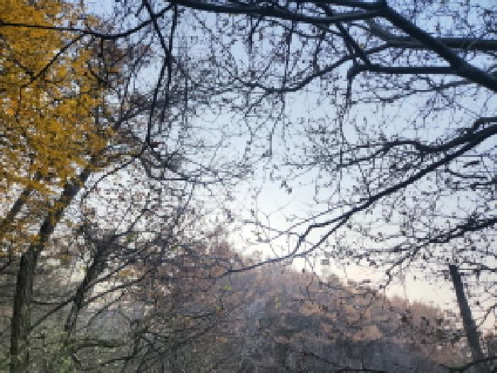 인천 강화군 불은면 임야 경매 물건 사진 2 · 2025타경1730