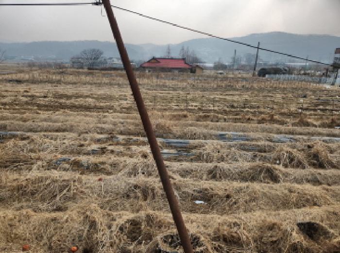 인천 강화군 선원면 전 경매 물건 사진