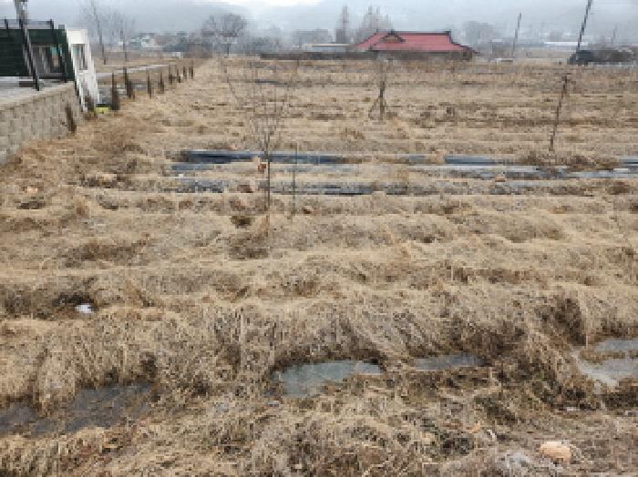 인천 강화군 선원면 전 경매 물건 사진 4 · 2025타경244