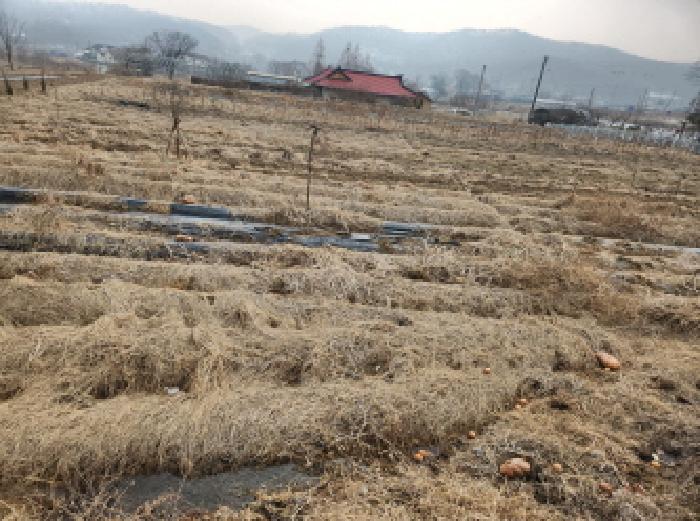 인천 강화군 선원면 전 경매 물건 사진 5 · 2025타경244