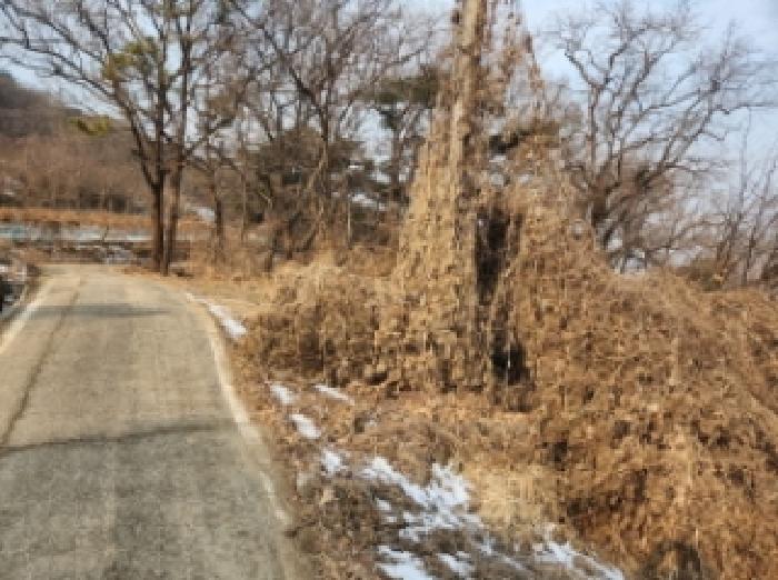 인천 강화군 선원면 임야 경매 물건 사진 4 · 2025타경500331
