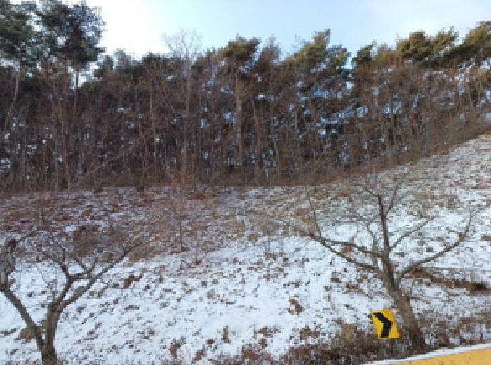 인천 남동구 서창동 태평아파트 아파트 경매 물건 사진
